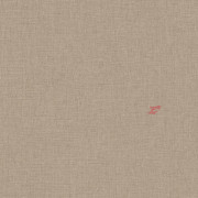 Papier peint Vinyle sur intissé Uni Mat Châtaigne - Blue Shades - Caselio - BLS103221850