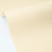 Papier peint Vinyle sur intissé Elina Beige- Blue Shades - Caselio - BLS107521050