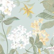 Papier peint intissé Songe de Jasmin céladon - Le Beau Jardin - Casadeco - BJAR202566025