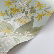 Papier peint intissé Songe de Jasmin céladon - Le Beau Jardin - Casadeco - BJAR202566025