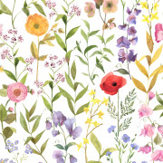 Papier peint intissé Fleurs des champs multicolore intense - Le Beau Jardin - Casadeco - BJAR87652874