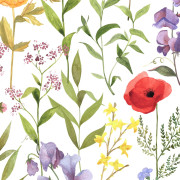 Papier peint intissé Fleurs des champs multicolore intense - Le Beau Jardin - Casadeco - BJAR87652874