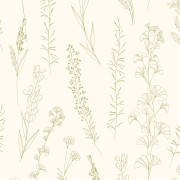 Papier peint intissé Carnet botanique vert amande - Le Beau Jardin - Casadeco - BJAR202597777