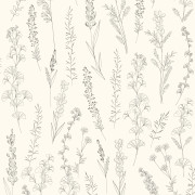 Papier peint intissé Carnet botanique noir fusain - Le Beau Jardin - Casadeco - BJAR202591234