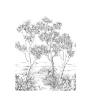 Panoramique vinyle sur intissé Terre d'acacias noir fusain - 200X310cm - Wonderwalls 3 - Casadeco - WDWT202219104V
