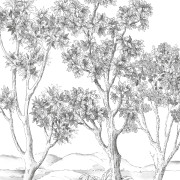 Panoramique vinyle sur intissé Terre d'acacias noir fusain - 200X310cm - Wonderwalls 3 - Casadeco - WDWT202219104V