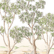 Panoramique intissé Terre d'acacias vert feuillage - 200X310cm - Wonderwalls 3 - Casadeco - WDWT202217604NW