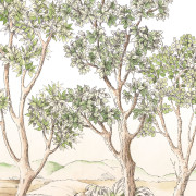Panoramique intissé Terre d'acacias vert feuillage - 200X280cm - Wonderwalls 3 - Casadeco - WDWT202217603NW
