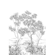 Panoramique intissé Terre d'acacias noir fusain - 200X310cm - Wonderwalls 3 - Casadeco - WDWT202217603NW