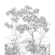 Panoramique intissé Terre d'acacias noir fusain - 200X250cm - Wonderwalls 3 - Casadeco - WDWT202219004NW
