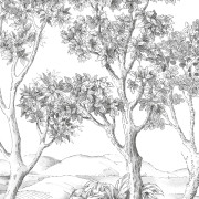 Panoramique intissé Terre d'acacias noir fusain - 200X250cm - Wonderwalls 3 - Casadeco - WDWT202219004NW