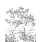 Panoramique intissé Terre d'acacias noir fusain - 200X280cm - Wonderwalls 3 - Casadeco - WDWT202219005NW