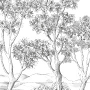 Panoramique intissé Terre d'acacias noir fusain - 200X280cm - Wonderwalls 3 - Casadeco - WDWT202219005NW