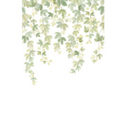 Panoramique vinyle sur intissé Fruit du houblon - 200X310cm - Wonderwalls 3 - Casadeco - WDWT202317904V