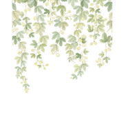 Panoramique vinyle sur intissé Fruit du houblon - 200X250cm - Wonderwalls 3 - Casadeco - WDWT202317905V