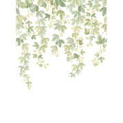 Panoramique vinyle sur intissé Fruit du houblon - 200X280cm - Wonderwalls 3 - Casadeco - WDWT202317903V