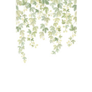 Panoramique intissé Fruit du houblon - 200X310cm - Wonderwalls 3 - Casadeco - WDWT202317804NW