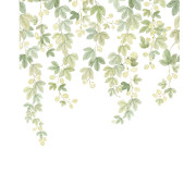 Panoramique intissé Fruit du houblon - 200X250cm - Wonderwalls 3 - Casadeco - WDWT202317805NW