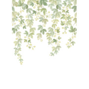 Panoramique intissé Fruit du houblon - 200X280cm - Wonderwalls 3 - Casadeco - WDWT202317803NW