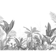 Panoramique vinyle sur intissé intissé Eden Tropical noir- 400X310cm - Wonderwalls 3 - Casadeco - WDWT202339512V