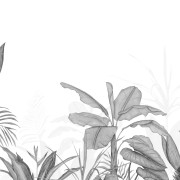Panoramique vinyle sur intissé intissé Eden Tropical noir- 400X310cm - Wonderwalls 3 - Casadeco - WDWT202339512V