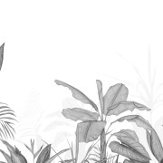 Panoramique vinyle sur intissé intissé Eden Tropical noir- 300X250cm - Wonderwalls 3 - Casadeco - WDWT202339507V