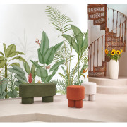 Panoramique vinyle sur intissé Eden Tropical vert palme- 300X250cm - Wonderwalls 3 - Casadeco - WDWT202337307V