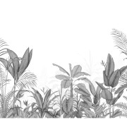 Panoramique intissé Eden Tropical noir- 300X250cm - Wonderwalls 3 - Casadeco - WDWT202339407NW