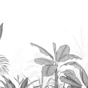 Panoramique intissé Eden Tropical noir- 300X250cm - Wonderwalls 3 - Casadeco - WDWT202339407NW