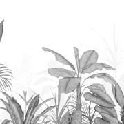 Panoramique intissé Eden Tropical noir- 400X280cm - Wonderwalls 3 - Casadeco - WDWT202339411NW