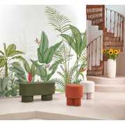 Panoramique intissé Eden Tropical vert palme- 400X310cm - Wonderwalls 3 - Casadeco - WDWT202337212NW