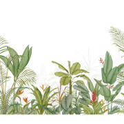 Panoramique intissé Eden Tropical vert palme- 300X250cm - Wonderwalls 3 - Casadeco - WDWT202337207NW