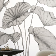 Panoramique vinyle sur intissé Alocasia noir fusain - 350X310cm - Wonderwalls 3 - Casadeco - WDWT202229342V