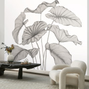 Panoramique vinyle sur intissé Alocasia noir fusain - 350X310cm - Wonderwalls 3 - Casadeco - WDWT202229342V