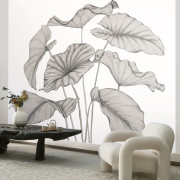 Panoramique vinyle sur intissé Alocasia noir fusain - 350X250cm - Wonderwalls 3 - Casadeco - WDWT202229340V