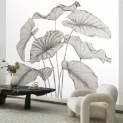 Panoramique intissé Alocasia noir fusain - 350X310cm - Wonderwalls 3 - Casadeco - WDWT202229242NW