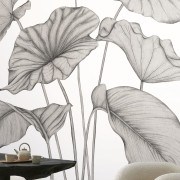 Panoramique intissé Alocasia noir fusain - 350X280cm - Wonderwalls 3 - Casadeco - WDWT202229241NW