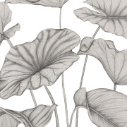 Panoramique intissé Alocasia noir fusain - 350X280cm - Wonderwalls 3 - Casadeco - WDWT202229241NW