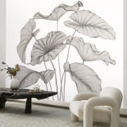 Panoramique intissé Alocasia noir fusain - 350X280cm - Wonderwalls 3 - Casadeco - WDWT202229241NW
