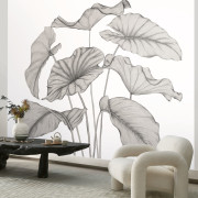 Panoramique intissé Alocasia noir fusain - 350X250cm - Wonderwalls 3 - Casadeco - WDWT202229240NW