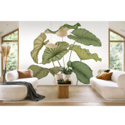 Panoramique vinyle sur intissé Alocasia vert feuillage - 350X280cm - Wonderwalls 3 - Casadeco - WDWT202227941V