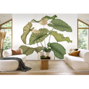 Panoramique intissé Alocasia vert feuillage - 350X310cm - Wonderwalls 3 - Casadeco - WDWT202227842NW