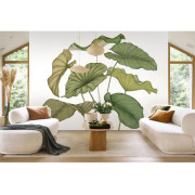 Panoramique intissé Alocasia vert feuillage - 350X250cm - Wonderwalls 3 - Casadeco - WDWT202227840NW