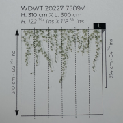 Panoramique vinyle sur intissé Lierre suspendu vert feuillage - 300X310cm - Wonderwalls 3 - Casadeco - WDWT202277509V