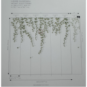 Panoramique vinyle sur intissé Lierre suspendu vert feuillage - 300X280cm - Wonderwalls 3 - Casadeco - WDWT202277508V