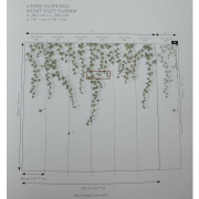 Panoramique intissé Lierre suspendu vert feuillage - 300X280cm - Wonderwalls 3 - Casadeco - WDWT202277408NW