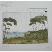Panoramique vinyle sur intissé Pinèdes Littorales - 400X280cm - Wonderwalls 3 - Casadeco - WDWT202237111V