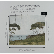 Panoramique intissé Pinèdes Littorales - 300x250cm - Wonderwalls 3 - Casadeco - WDWT202237007NW