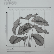 Panoramique vinyle sur intissé Alocasia noir fusain - 350X280cm - Wonderwalls 3 - Casadeco - WDWT202229341V