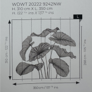 Panoramique intissé Alocasia noir fusain - 350X310cm - Wonderwalls 3 - Casadeco - WDWT202229242NW